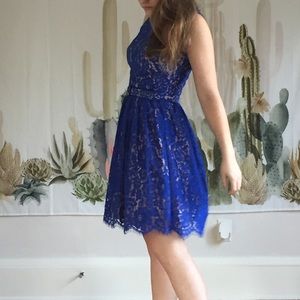 Eliza J  Lace Fit & Flare Cobalt Blue Dress